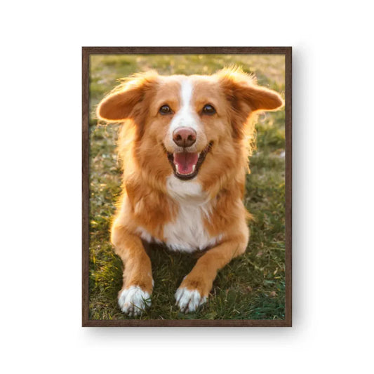 Gerahmtes Poster Wallnuss Mockup Merchone Petnovia