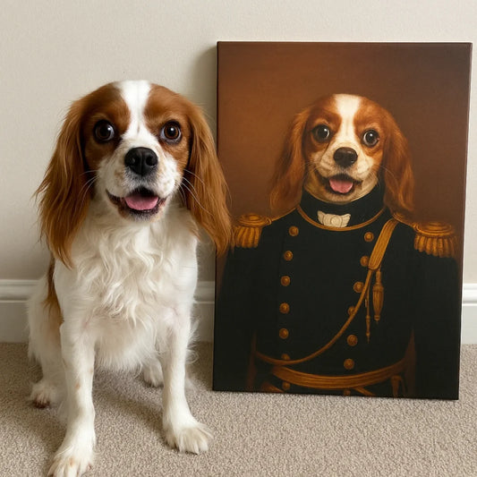 Der Admiral Produktfoto
