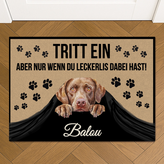 Fußmatte Mockup Petnovia